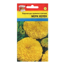 Семена цветов Бархатцы прямостоячие "Мери Хелен", 0,3 г
