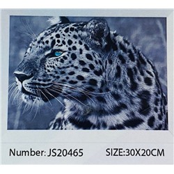 Алмазная мозаика на подрамнике /20х30см./, " Леопард " арт.JS20465, 24-649