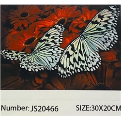 Алмазная мозаика на подрамнике /20х30см./, "Бабочки" арт.JS20466, 24-650