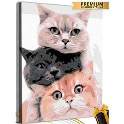 Картина по номерам «Коты» холст на подрамнике, 40 × 50 см