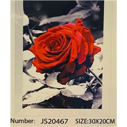 Алмазная мозаика на подрамнике /20х30см./, " Красная роза " арт.JS20467, 24-651