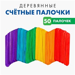 Счётные палочки, набор 50 шт.