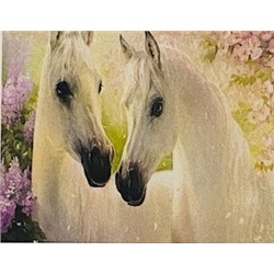 Алмазная мозаика /40х50см./, "Пара белых лошадей" арт.GС70956, 24-503