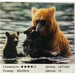 Алмазная мозаика /40х50см./, " Купание медведей " арт.GА74269, 22-870