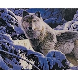 Алмазная мозаика /40х50см./, "Волк в зимнем лесу" арт.GС70904, 24-501