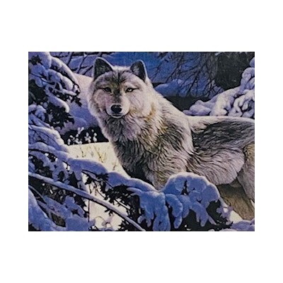 Алмазная мозаика /40х50см./, "Волк в зимнем лесу" арт.GС70904, 24-501