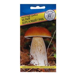 Мицелий грибов Белый гриб березовый ,  60 мл