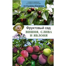 СамоеВажноеОСадеИОгороде Кизима Г.А. Фруктовый сад. Вишня, слива и яблоня, (АСТ, 2018), Обл, c.128