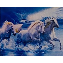 Алмазная мозаика /50х65см./, "Белые кони" арт.AGK76406, 24-533