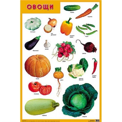 НаглядныеПособия Плакат. Овощи (440*590мм), (Мозаика-Синтез, 2020), Л