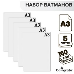 Набор ватманов чертёжных А3, 160 г/м², 5 листов