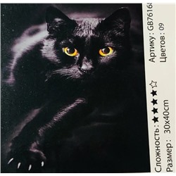 Алмазная мозаика на подрамнике /30х40см./, " Чёрный кот " арт.GB76168, 22-806