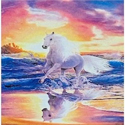 Алмазная мозаика /30х40см./, "Белая лошадь на бергеу" арт.GD75174, 24-487