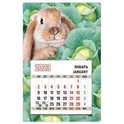 151701403 Календарь магнитный "Кролик с капустой" 2023 Символ года, (Хорошо)