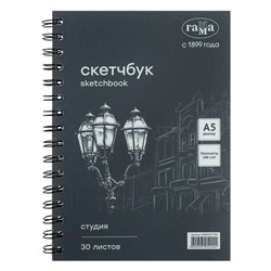 Альбом для графики А5, 148 х 210, Гамма "Студия" 30 листов 140г/м на гребне, черный