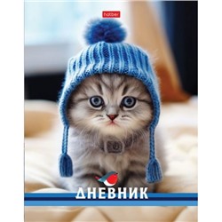 Дневник 1-11 класс (твердая обложка) "Котик в шапочке" (085751) 31069 Хатбер