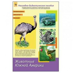 НаглядноДидактическоеПособие Животные Южной Америки (12 двусторонних карточек с картинками и текстом) (А4, в папке) ПД-1762, (Рыжий кот, 2015), К