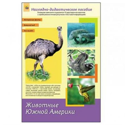 НаглядноДидактическоеПособие Животные Южной Америки (12 двусторонних карточек с картинками и текстом) (А4, в папке) ПД-1762, (Рыжий кот, 2015), К
