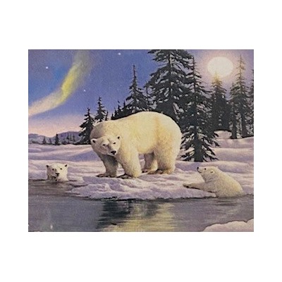 Алмазная мозаика /50х65см./, "Белые медведи" арт.AGK75052, 24-532