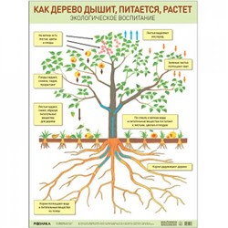 НаглядныеПособия Плакат. Как дерево дышит, питается, растет (440*590мм), (Мозаика-Синтез, 2022), Л