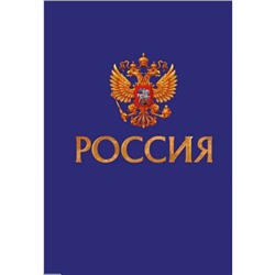 Дневник для старших классов (твердая обложка) "Для российского школьник. Дизайн 1" ДУ244801 Эксмо