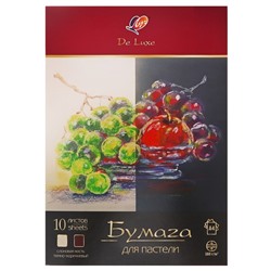 Бумага для пастели А4, 10 листов De Luxe, 160 г/м2, слоновая кость и тёмно-коричневый, в папке