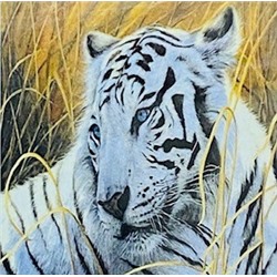 Алмазная мозаика /30х40см./, "Белый тигр" арт.GD72756, 24-482