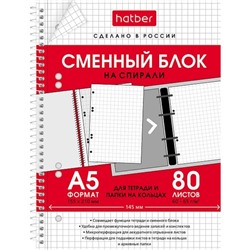 Сменный блок для тетрадей на 4-х кольцах А5, 80 листов в клетку, индивидуальная упаковка