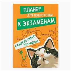 Планинг для подготовки к экзаменам, А5 60 л. Мягкая обложка «Кот»