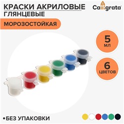 Краска акриловая, набор 6 цветов х 5 мл, Shine, Calligrata Kid Shine ГЛЯНЦЕВЫЕ (повышенное содержание пигмента), морозостойкие, без упаковки