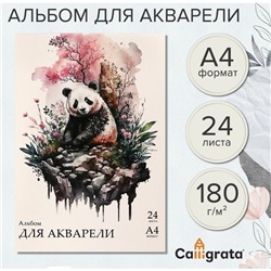 Альбом для акварели А4 24л 180г/м² на скл Calligrata, обл мел карт, бл рис бумага