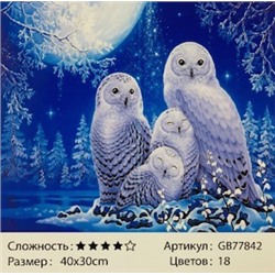 Алмазная мозаика на подрамнике /30х40см./, " Полярные совы " арт.GB77842, 24-728